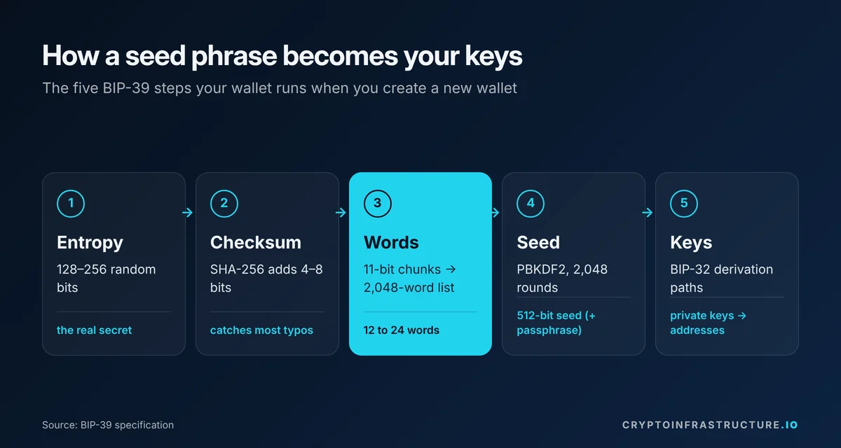 Five-step diagram of how a BIP-39 seed phrase is created: entropy, checksum, words, seed and private keys