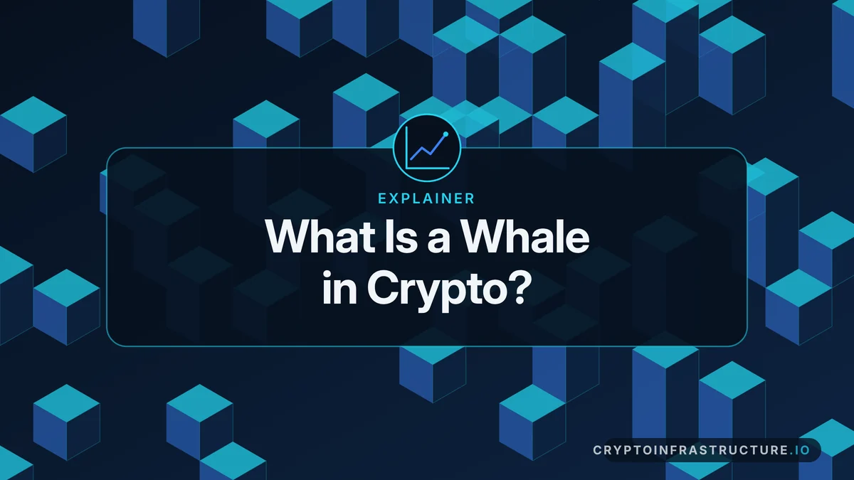 What Is a Whale in Crypto? How Whales Move Markets – featured image, cryptoinfrastructure.io